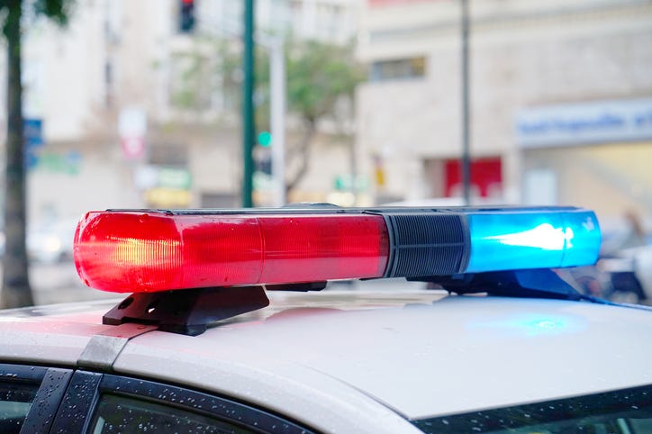 Mount Clemens man called "a violent threat to society," charged with multiple felonies after attacking ex-girlfriend, fleeing from U.S. marshals and striking a police vehicle