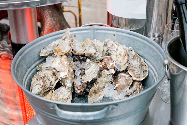 Oysters with crushed ice in metal bucket on table