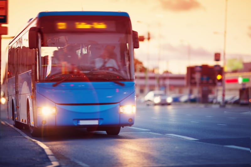 buses