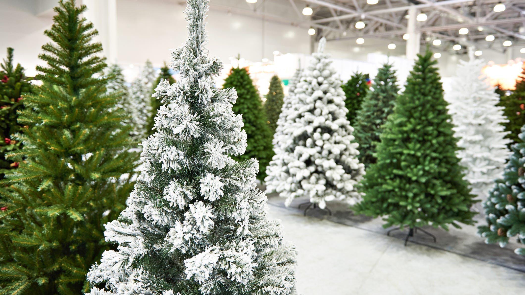 Christmas tree prices may spike this year and here's why