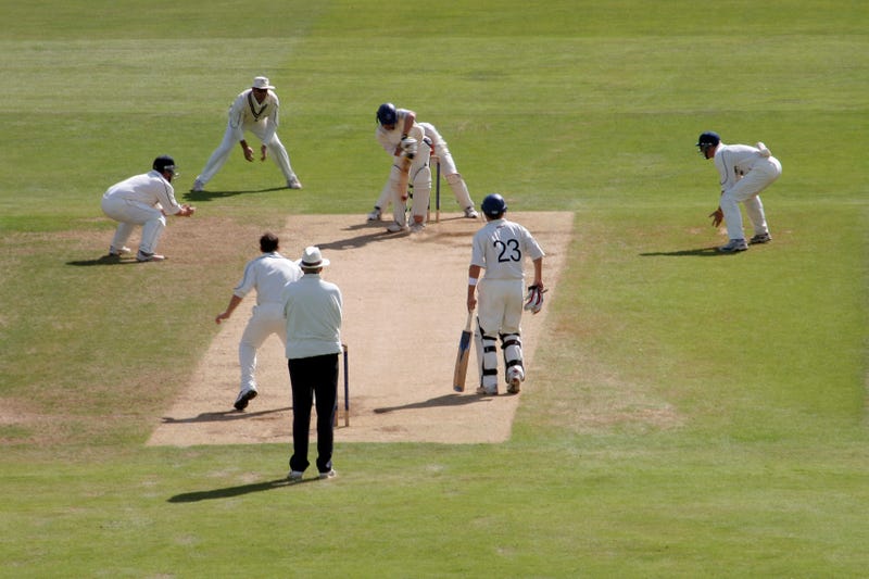 Cricket