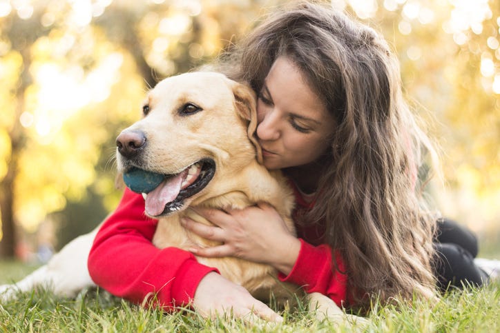 Owner Hugging Their Dog