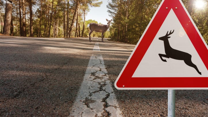 Sheriff issues warning after mid-Michigan teen rolls car trying to avoid deer