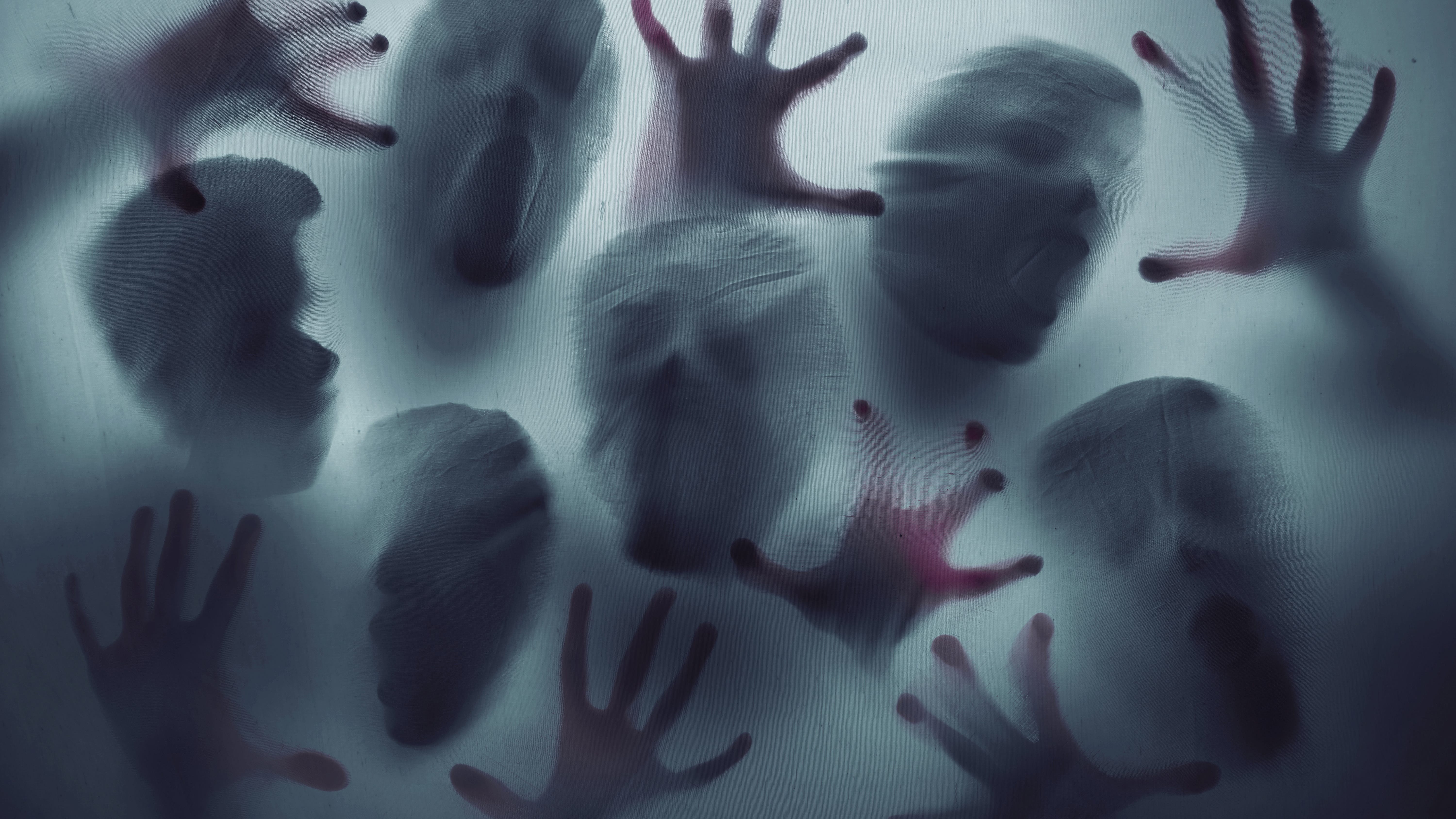 Terror in the Timbers: Drive-through haunted trail opens in Elgin this weekend