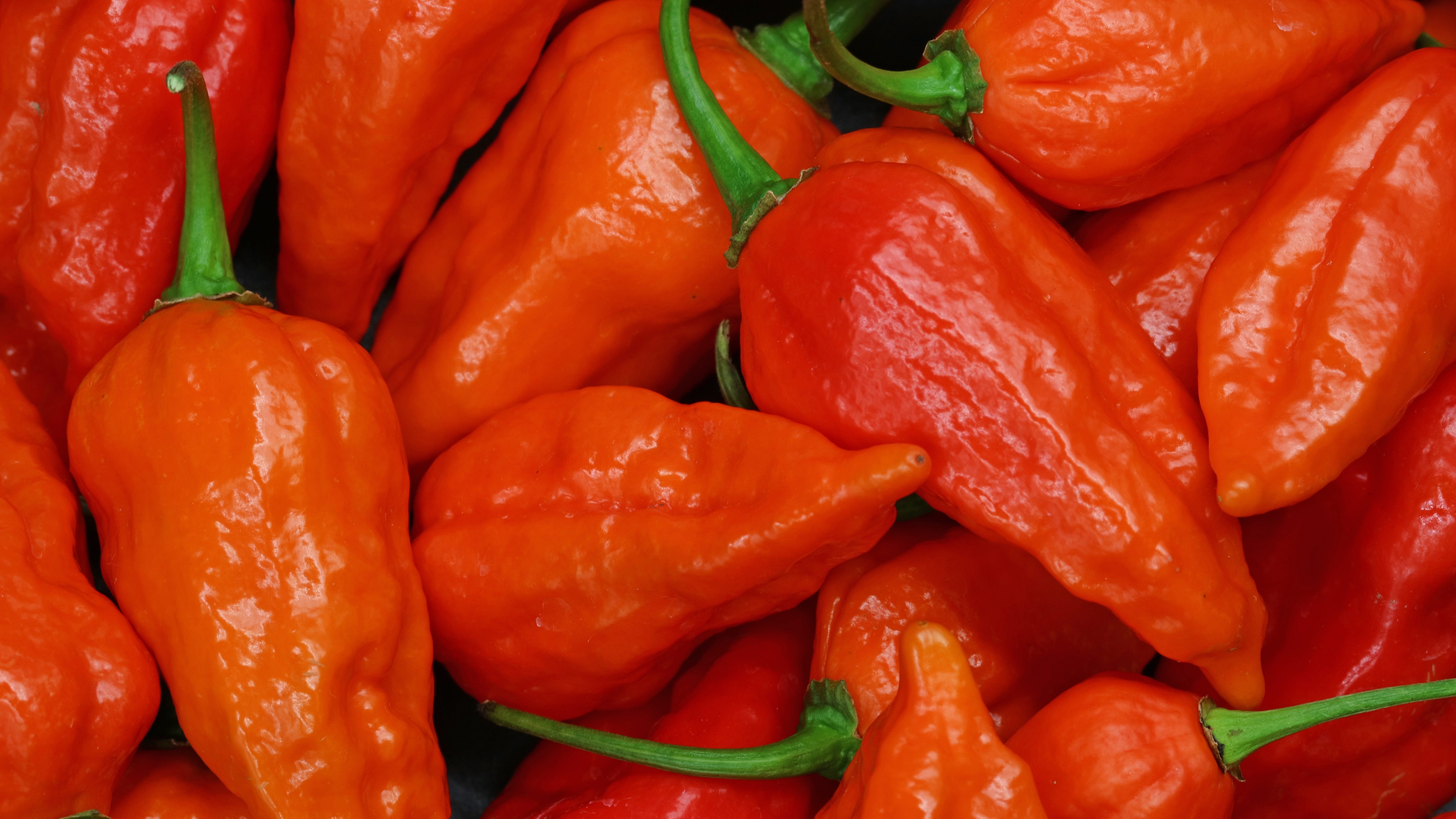 San Diego man breaks world record eating most Ghost chili peppers in one minute