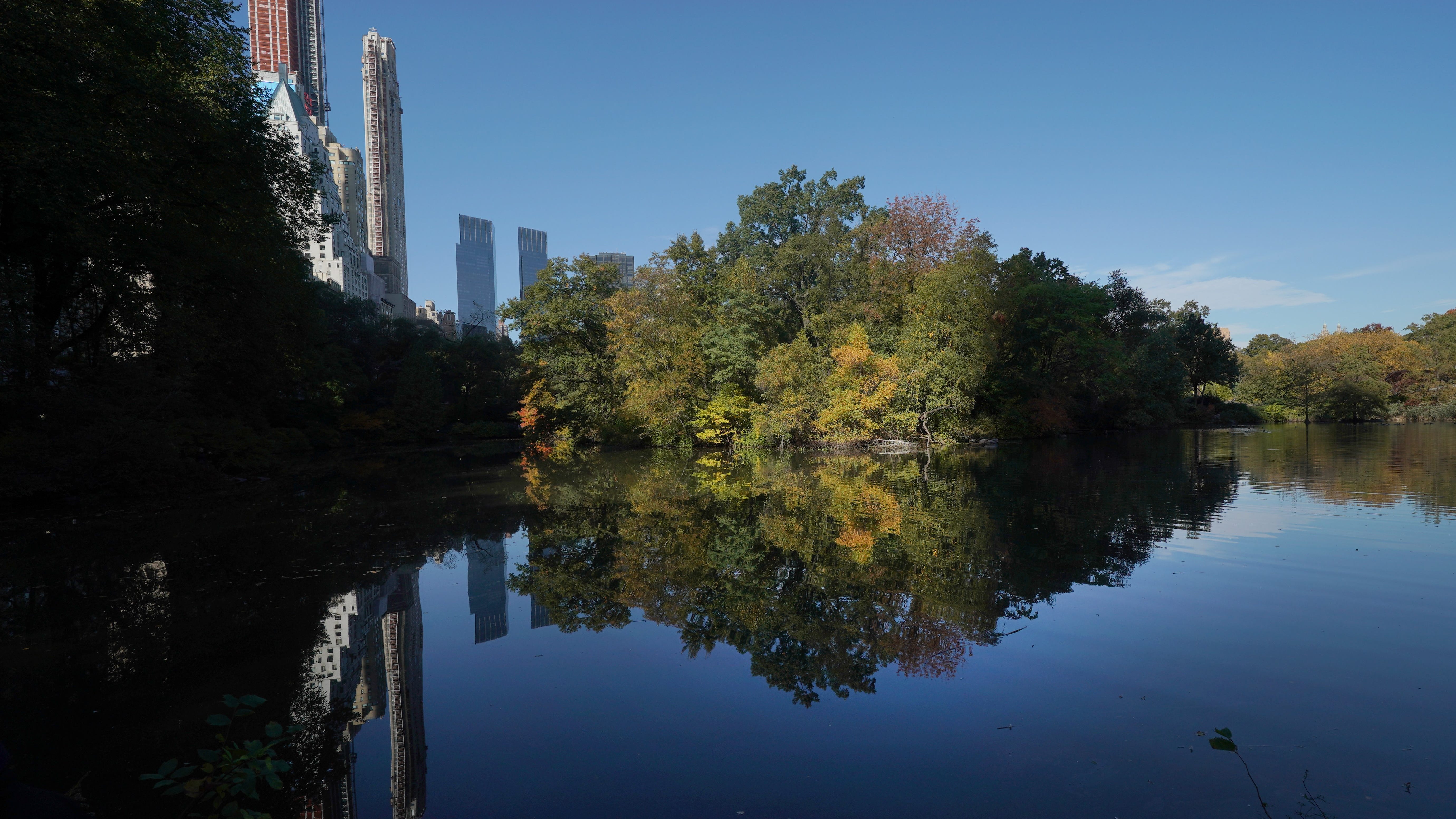 Body of man recovered from Central Park pond
