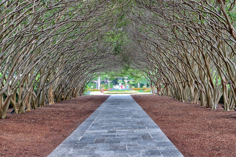 Dallas Arboretum 