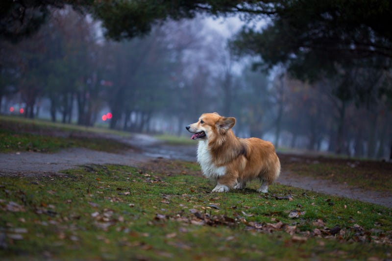 Mild and muggy for the first weekend of 2026