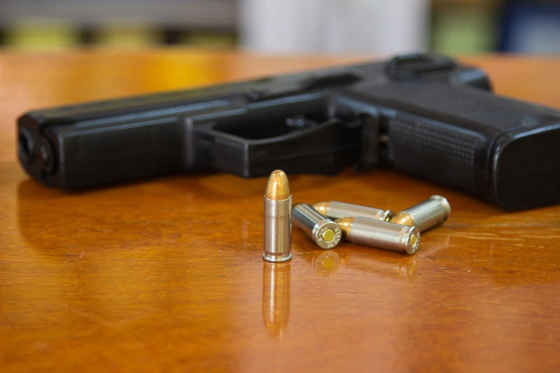 Gun in the home