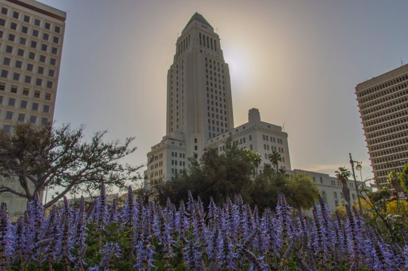 LA City Hall