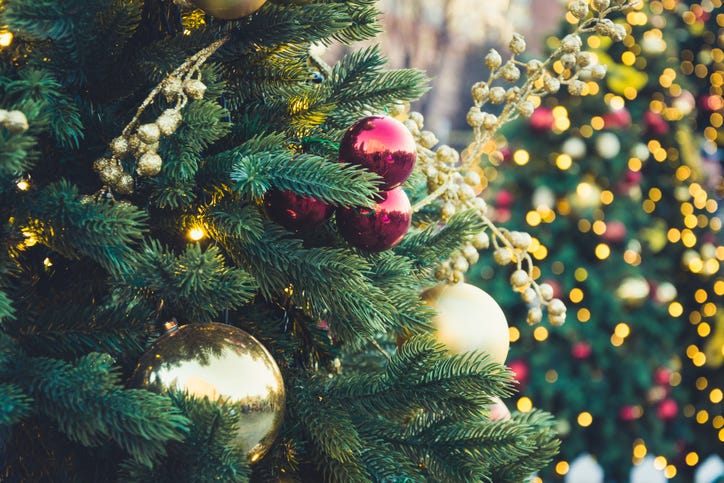 Decorated Christmas trees