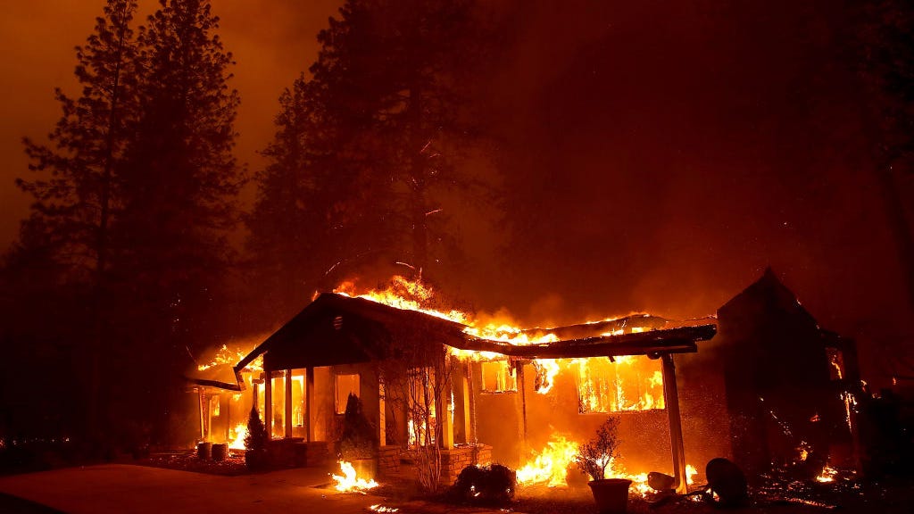 Palo Alto woman may have been boiling bear urine when Fawn Fire ignited