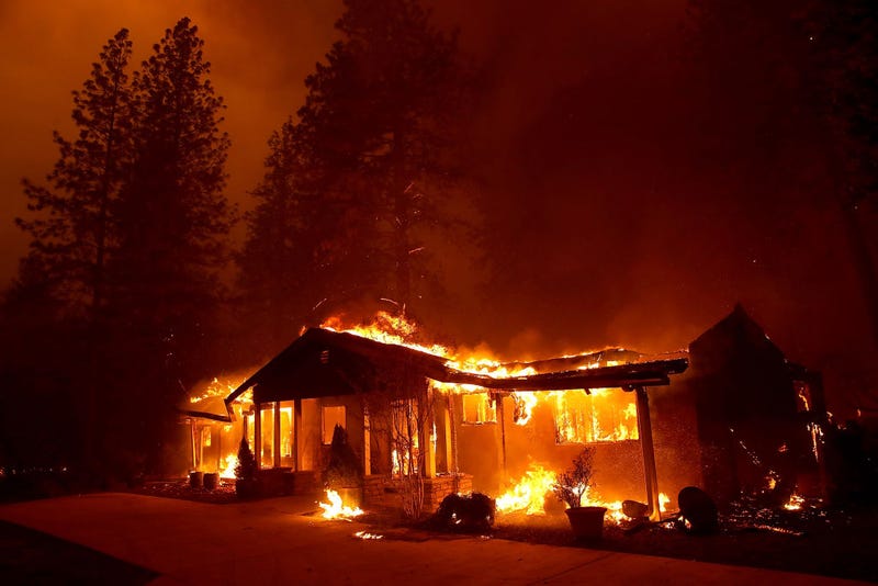 A Palo Alto woman charged with arson may have been boiling bear urine.