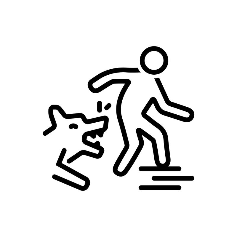 Dog Bite