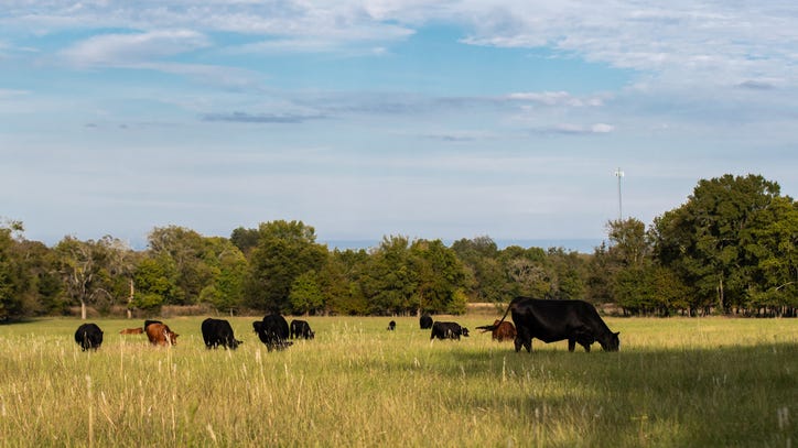 Ask the Expert: Is the supply chain shortage affecting Texas farmers?