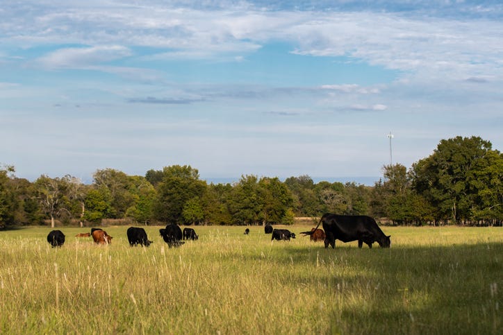 Is the supply chain shortage affecting Texas farmers?