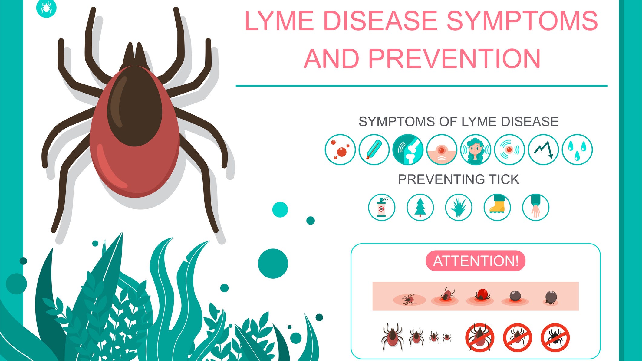 Lyme disease is soaring in rural America
