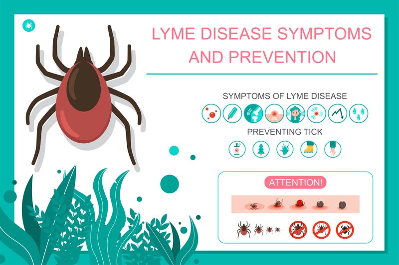 Lyme Disease