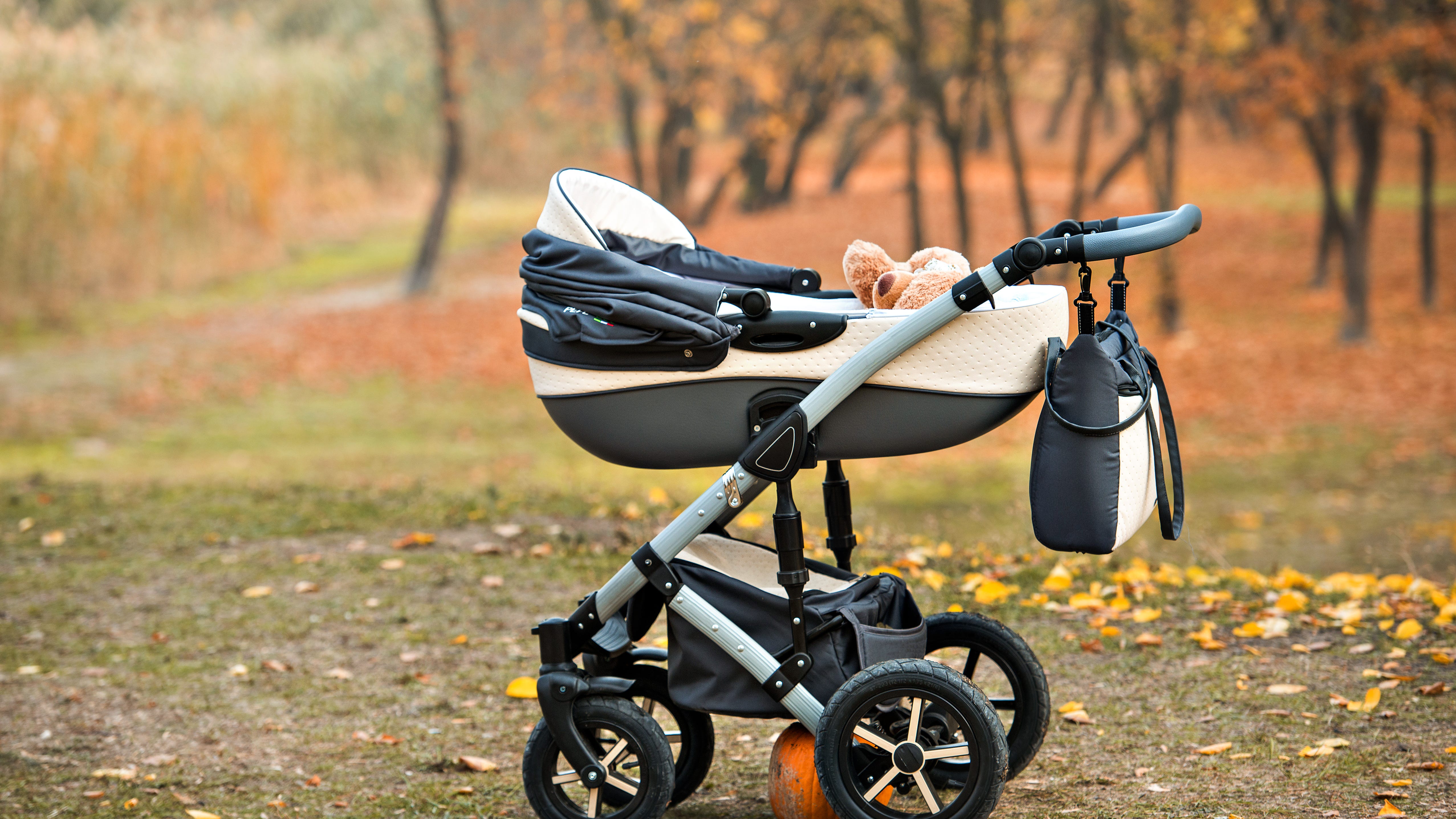 Long Beach police: Armed woman tries to snatch baby in stroller