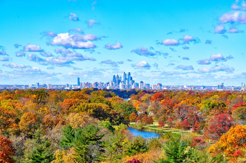 A shot of Philadelphia's skyline behind a foreground of Fall foliage.