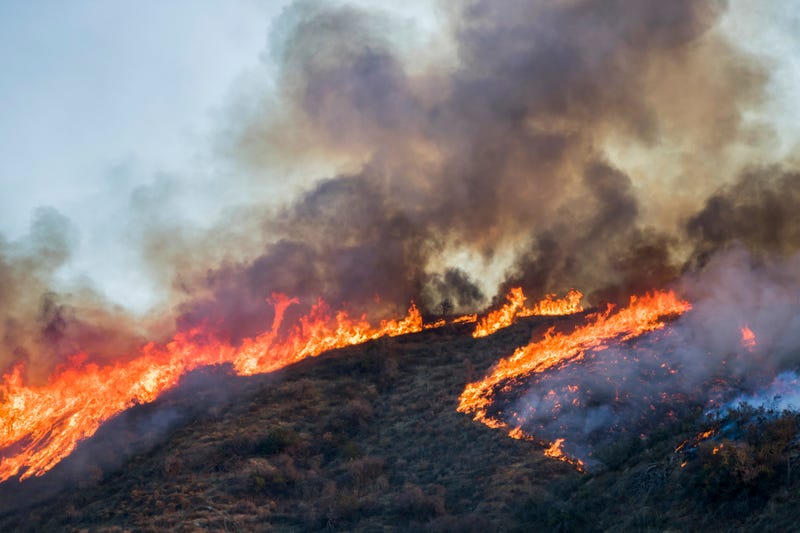 Erin Donalson/Getty Images