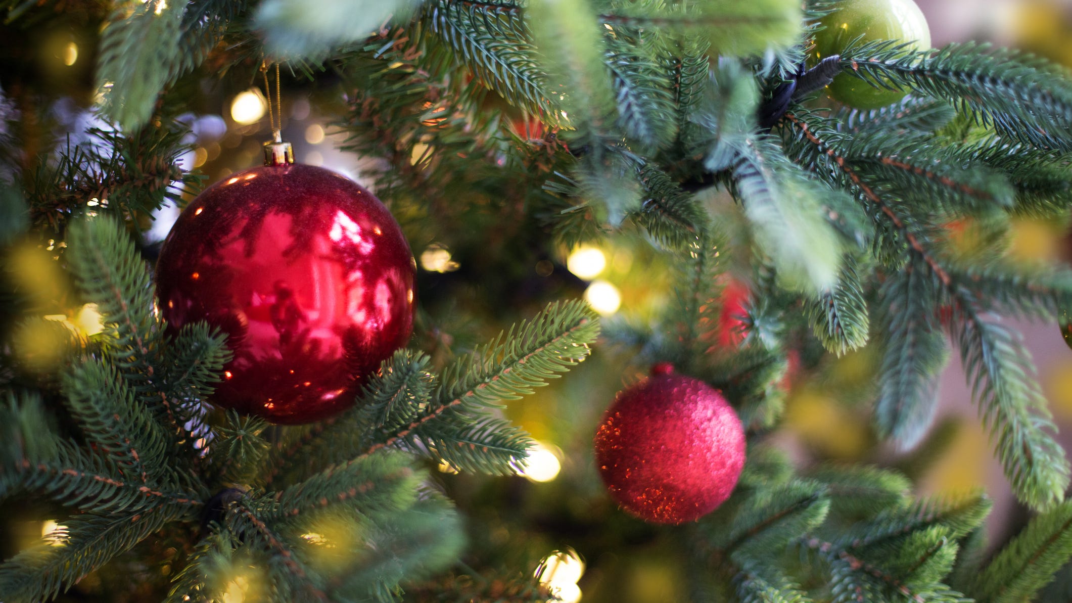 Christmas tree farmers expect a banner year