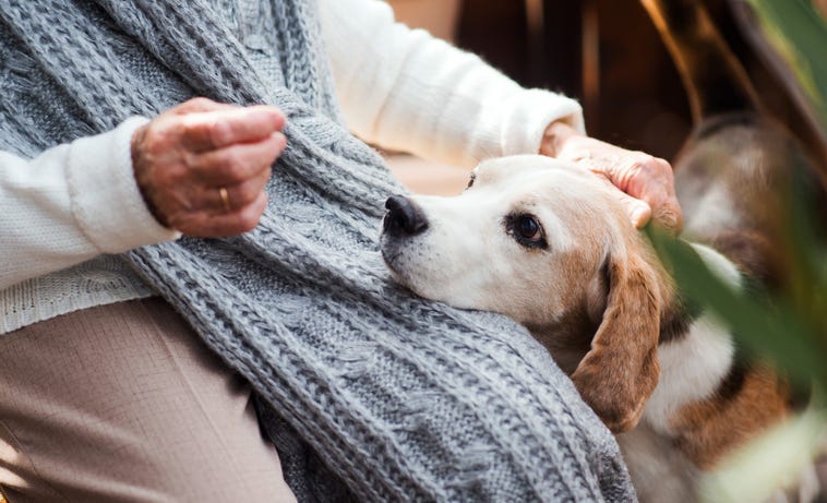 An elderly woman sitting with a dog 