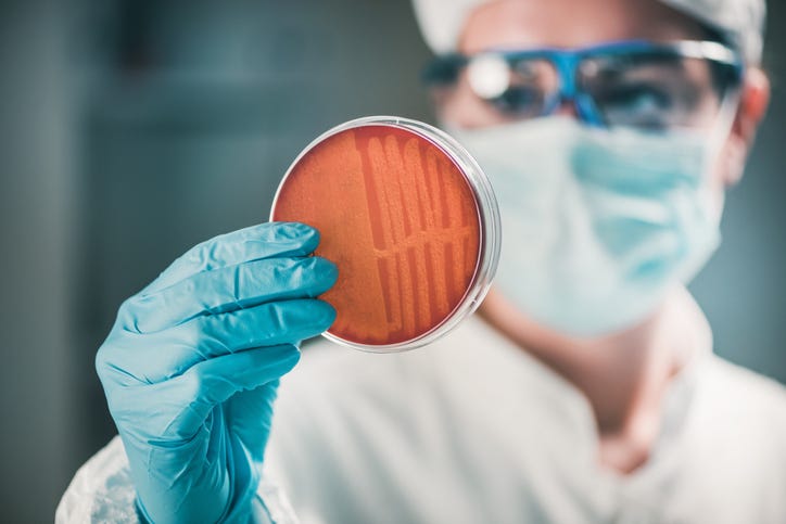 bacteria