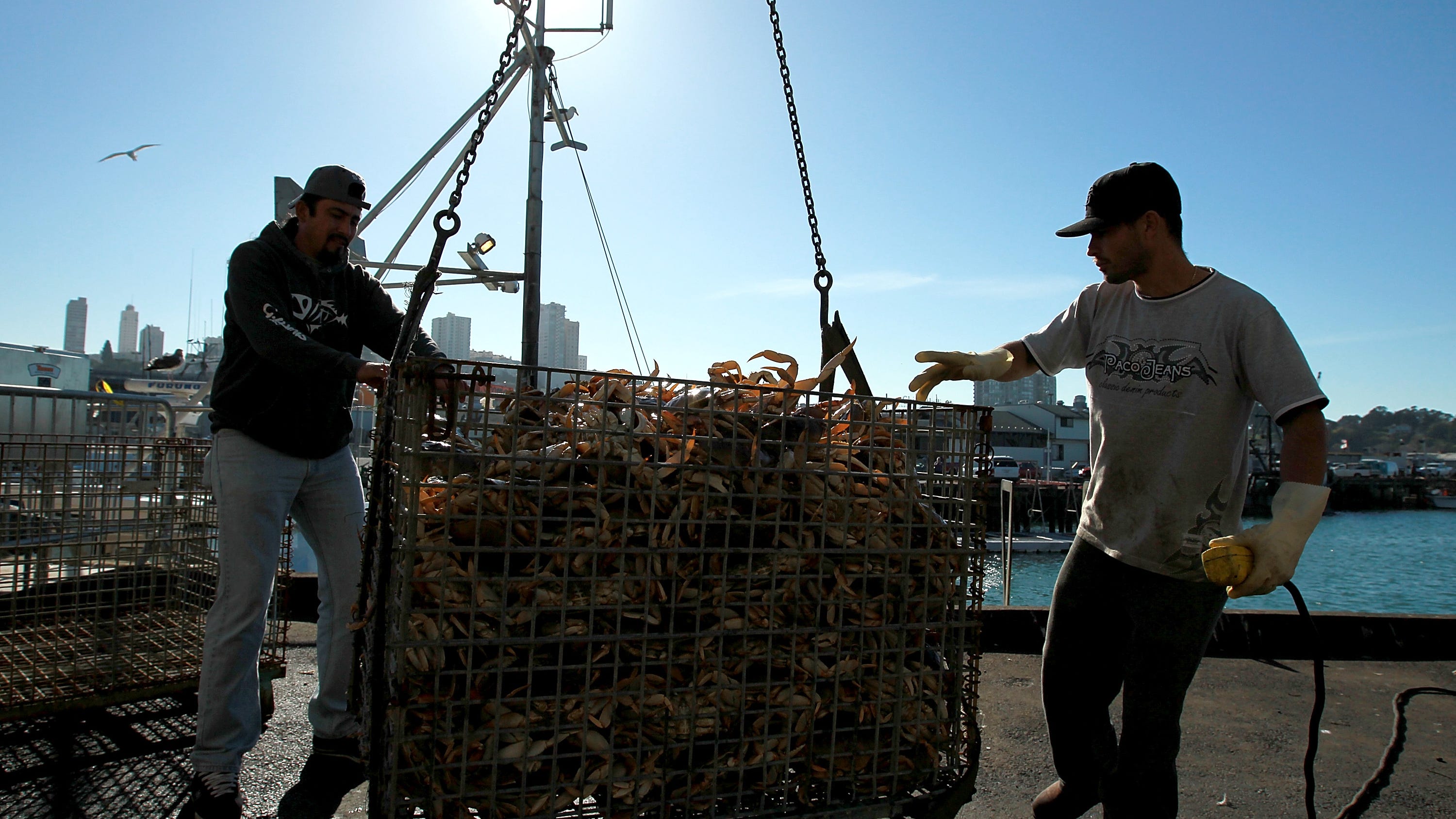 Bay Area fishermen crabby about commercial crab season delays