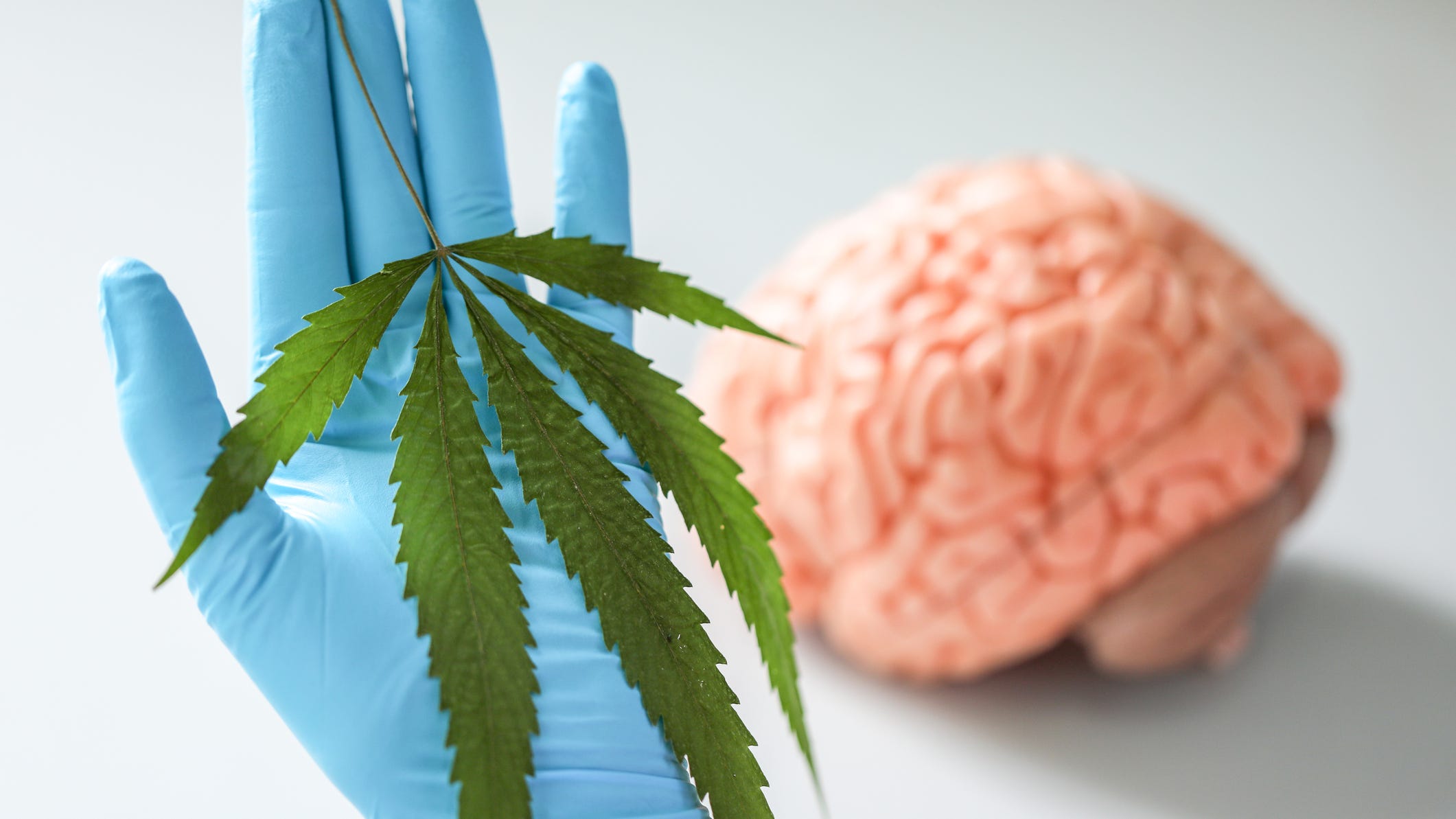 Marijuana linked to mental health disorders