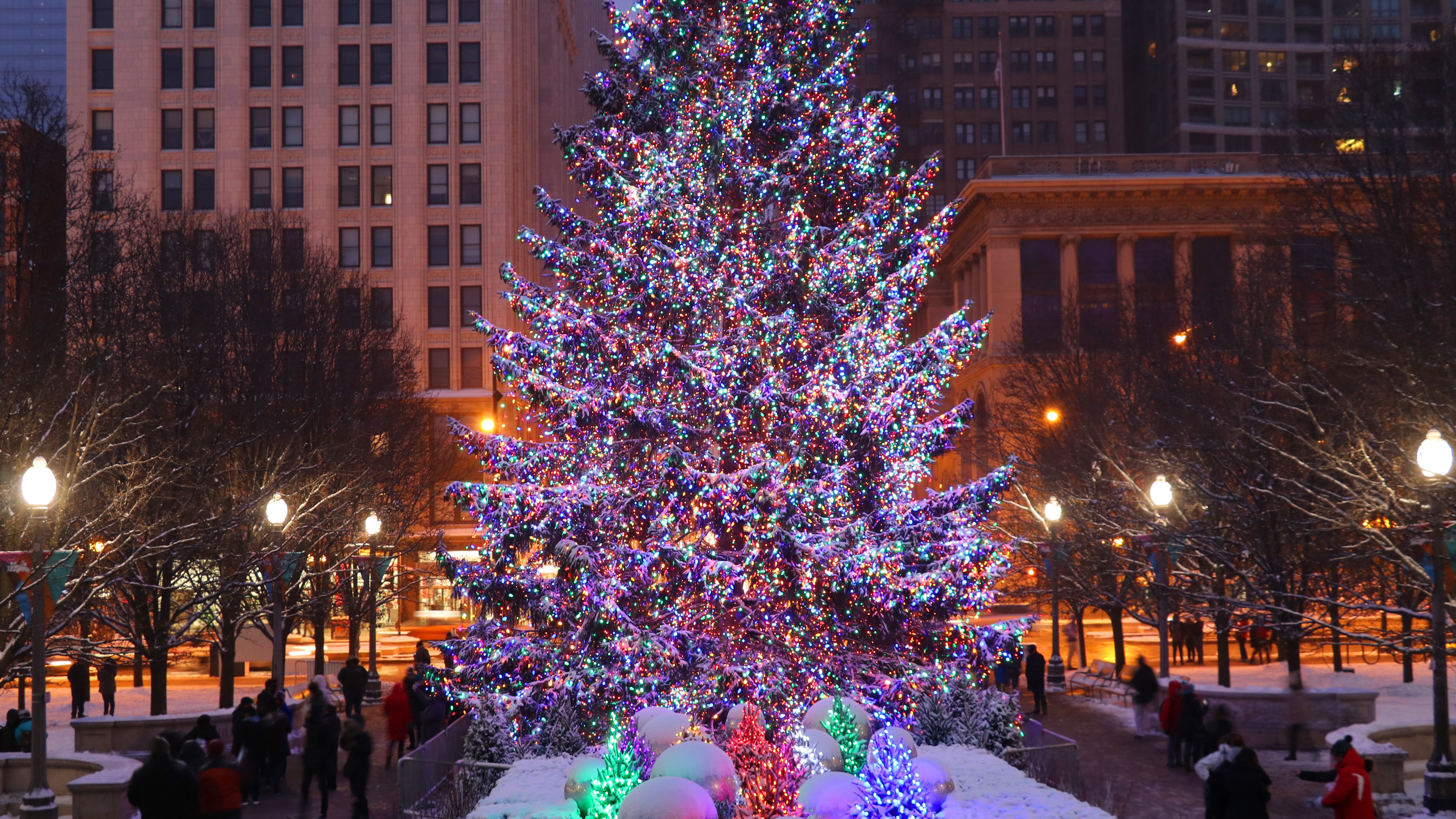 Crews cut down tree chosen as 107th annual City of Chicago Christmas Tree