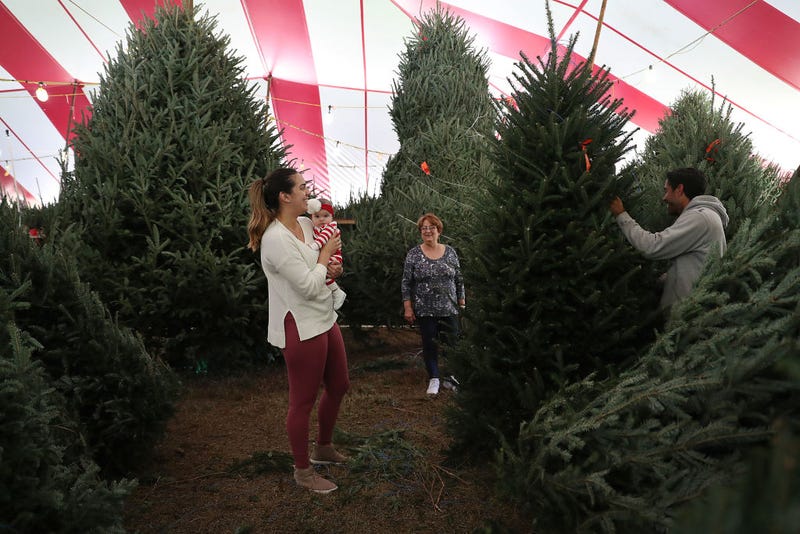 Paola Gonzalez holds her daughter Penelope Gonzalez, 3 months old, as she shops for a Christmas tree at a Holiday Sale Christmas Tree lot on November 29, 2018 in Miami, Florida.