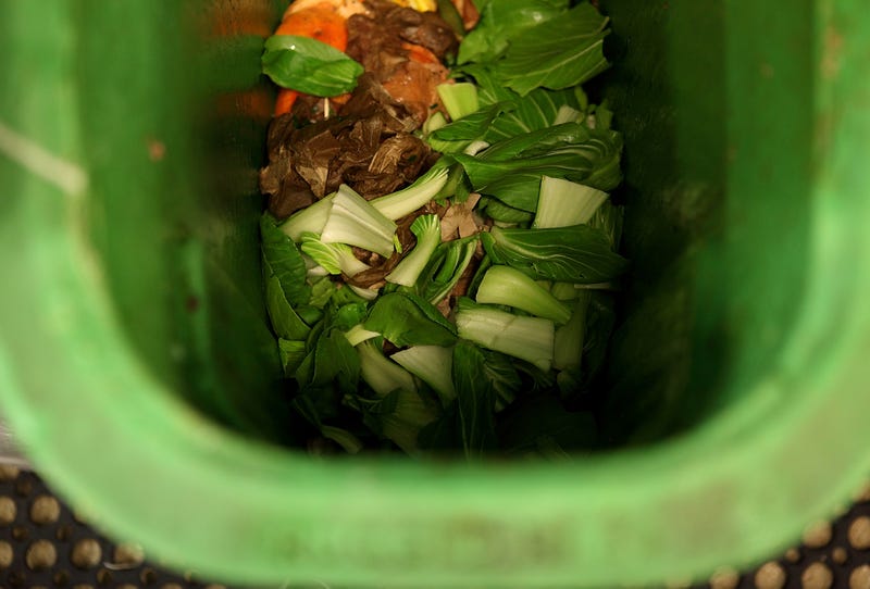 Food scraps are seen in a compost bin