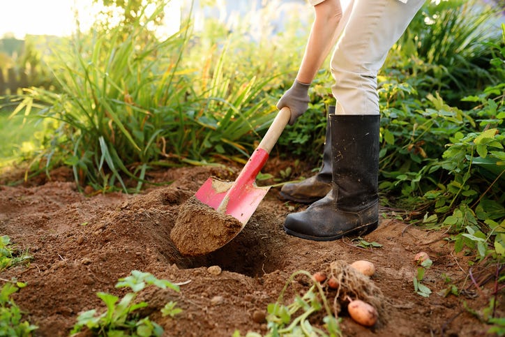 National Safe Digging Month: What to know before digging at home