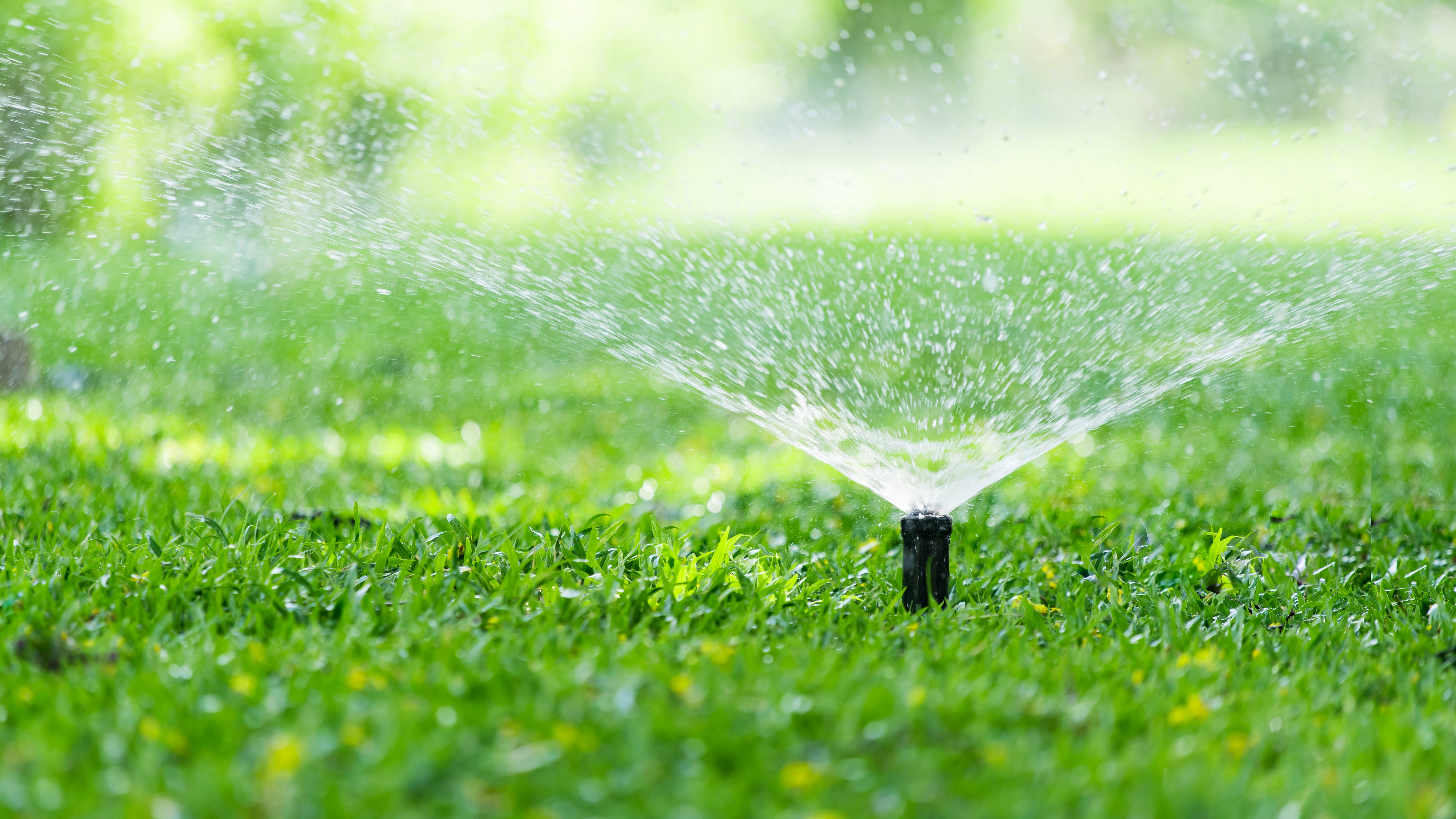 4 Million L.A. County residents urged to suspend outdoor watering starting today