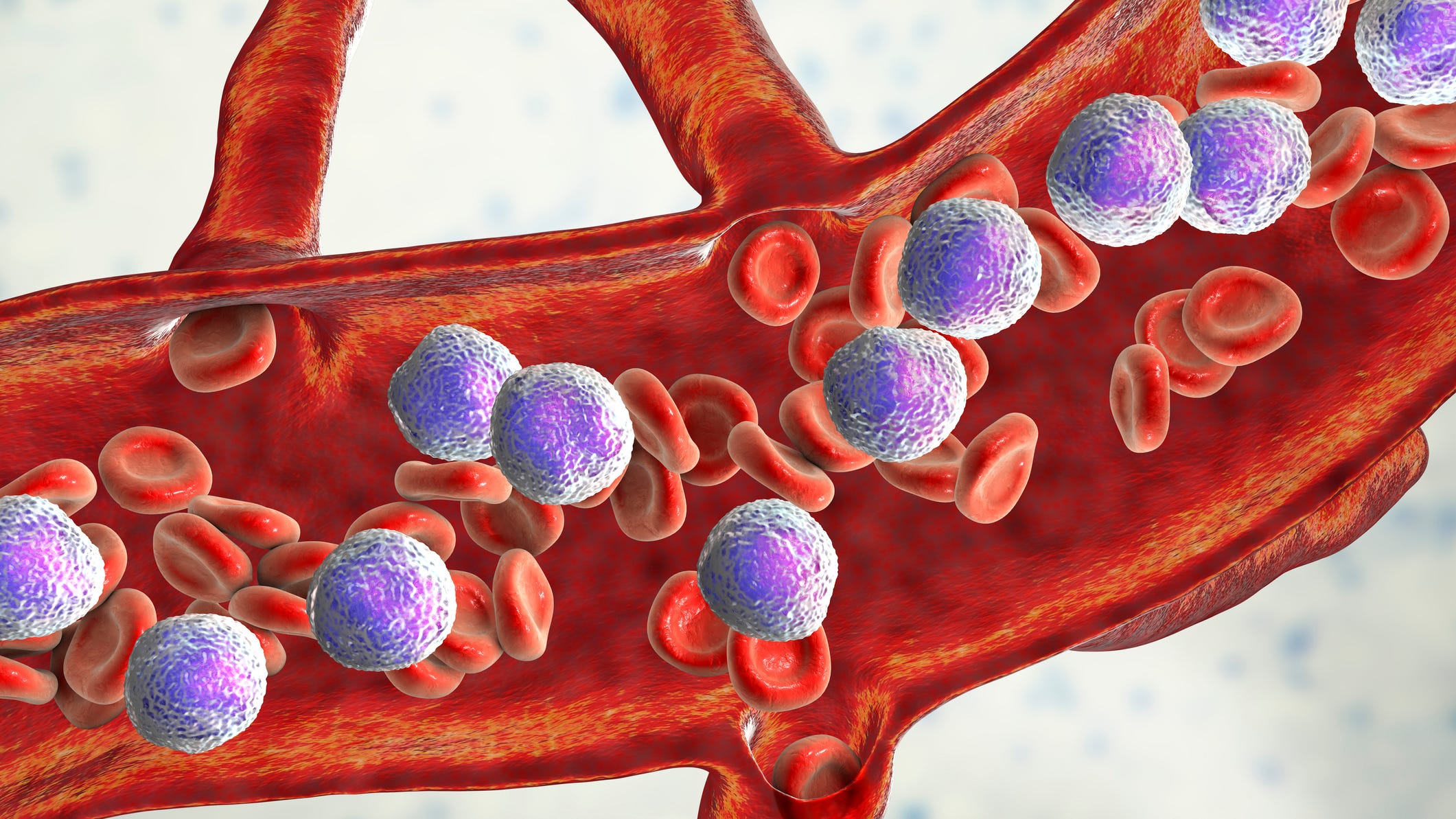 NJ researchers find common mouth bacterium could help slow down cancer