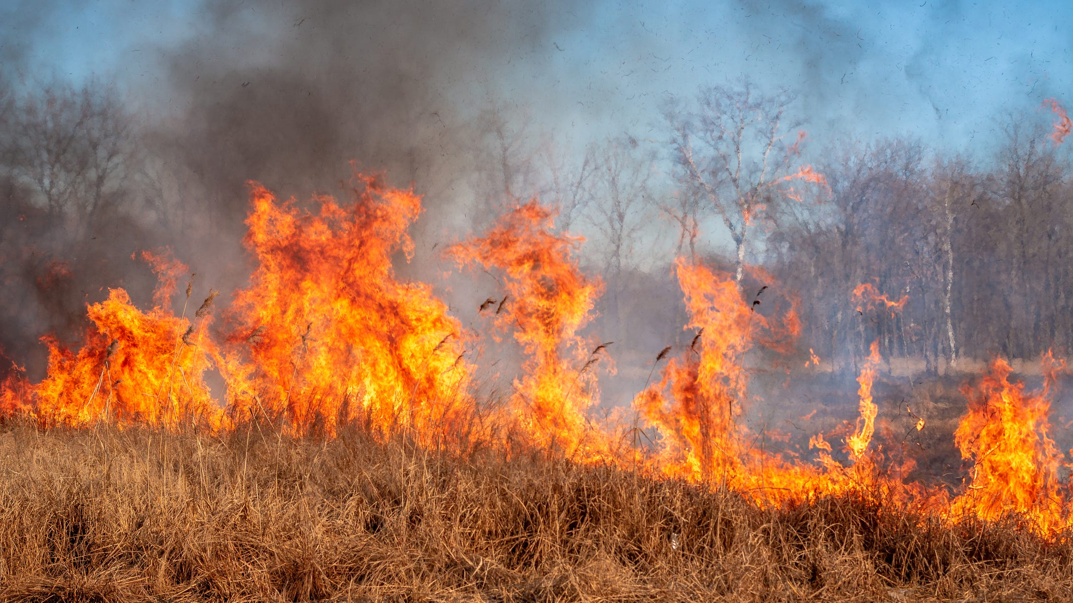 Evacuations lifted in Runaway Bay, but Boones Creek fire continues to burn