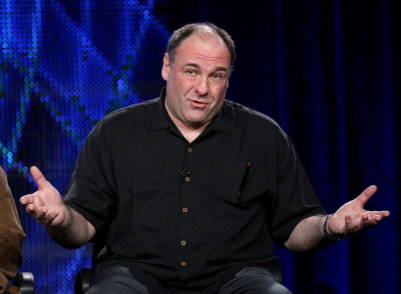 Actor James Gandolfini speaks during the 'Cinema Verite' panel at the HBO portion of the 2011 Winter TCA press tour held at the Langham Hotel on January 7, 2011 in Pasadena, California