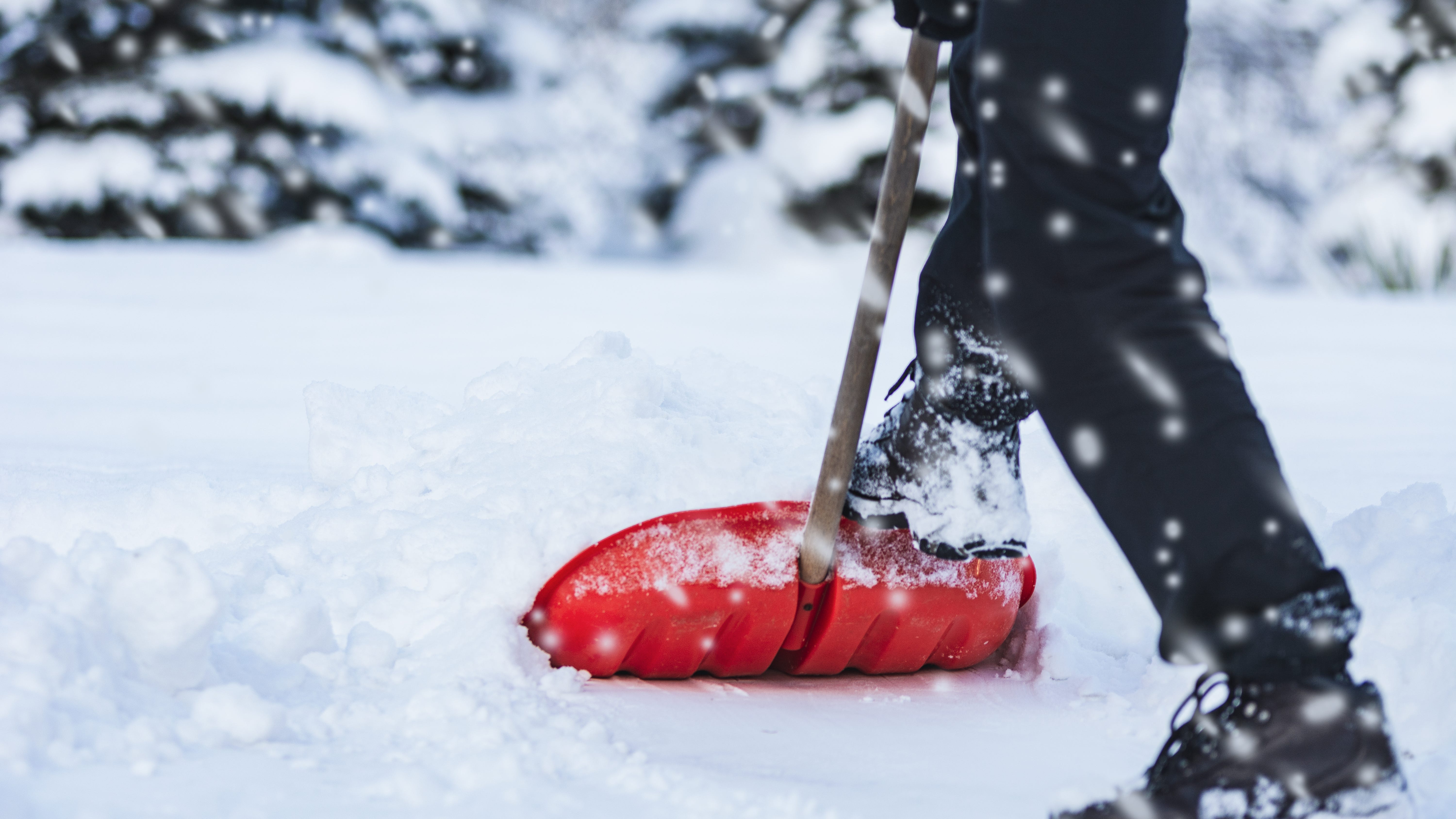Snowstorm has already dropped 6 inches on some parts of Chicago; CPS cancels in-person classes