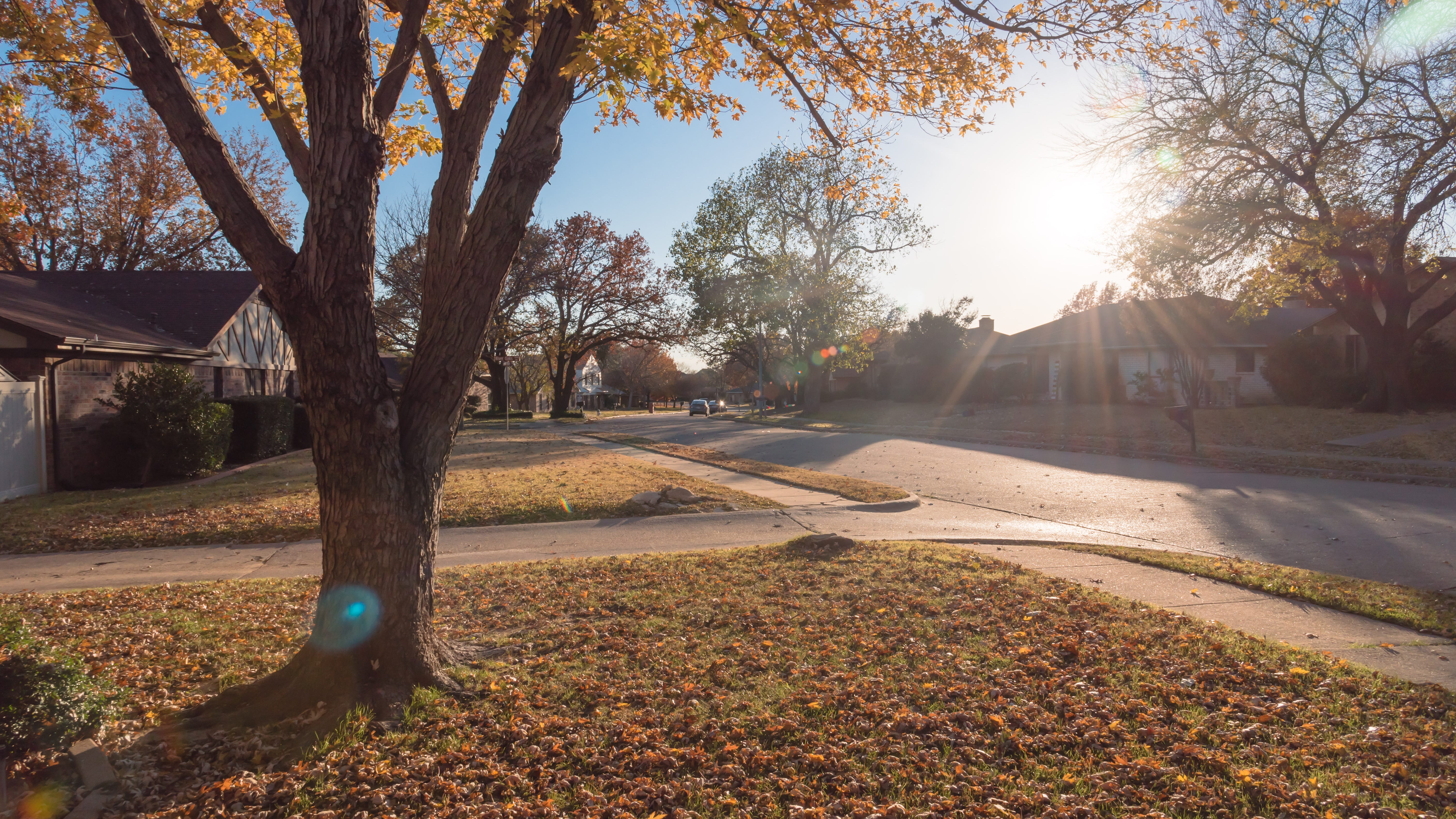 Ask the Expert: Why is Northeast Dallas the most searched neighborhood in the country?