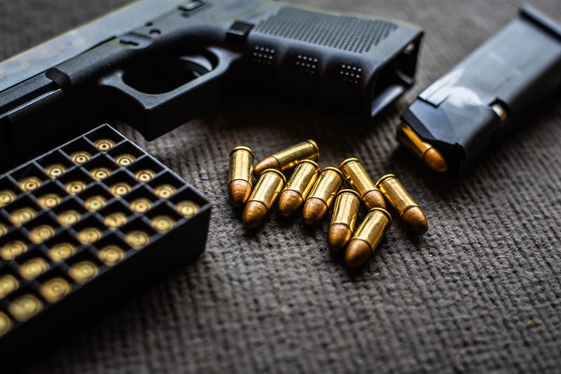 Gun and ammunition
