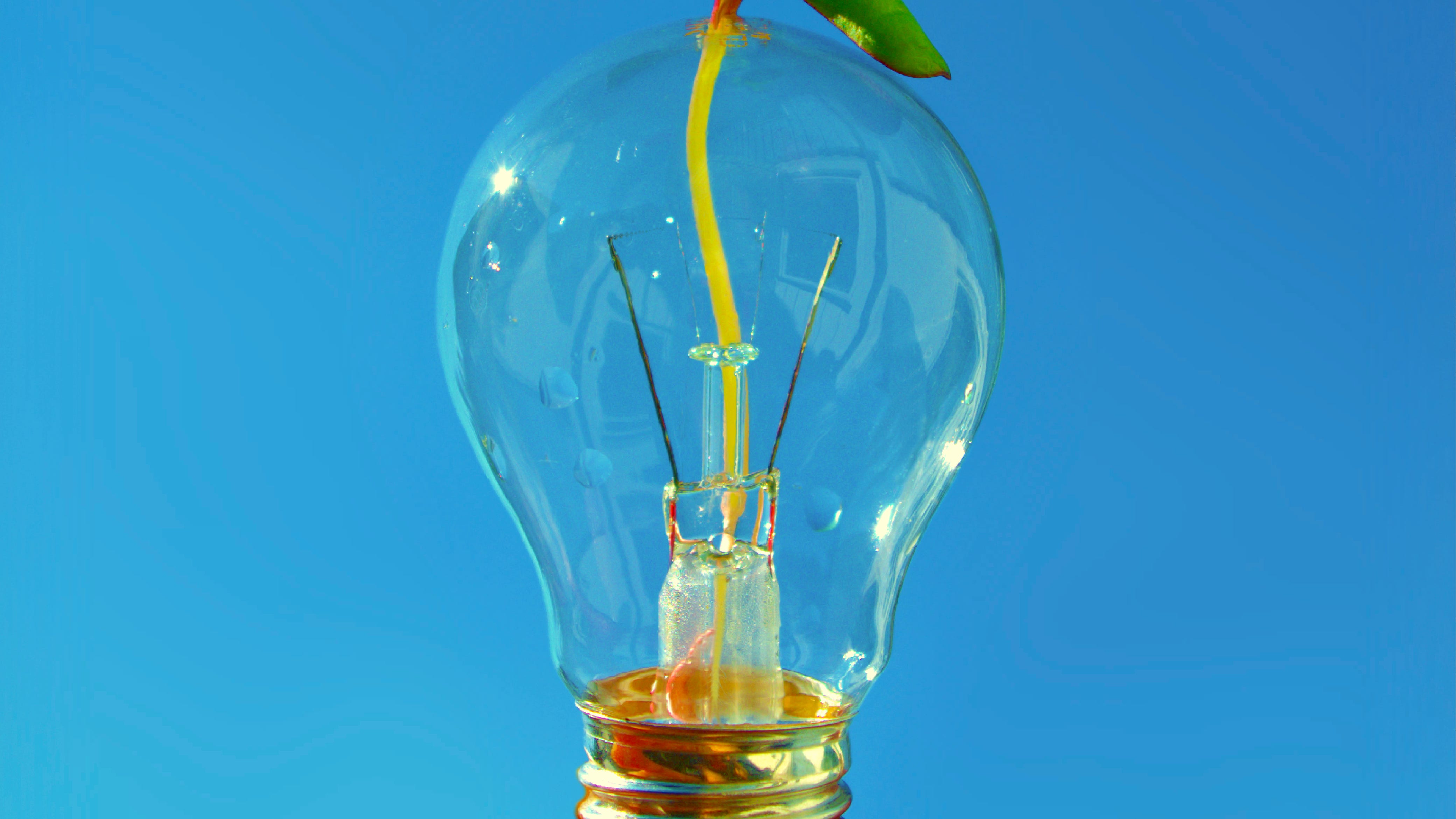San Diego Gas & Electric announce new climate sustainability goals