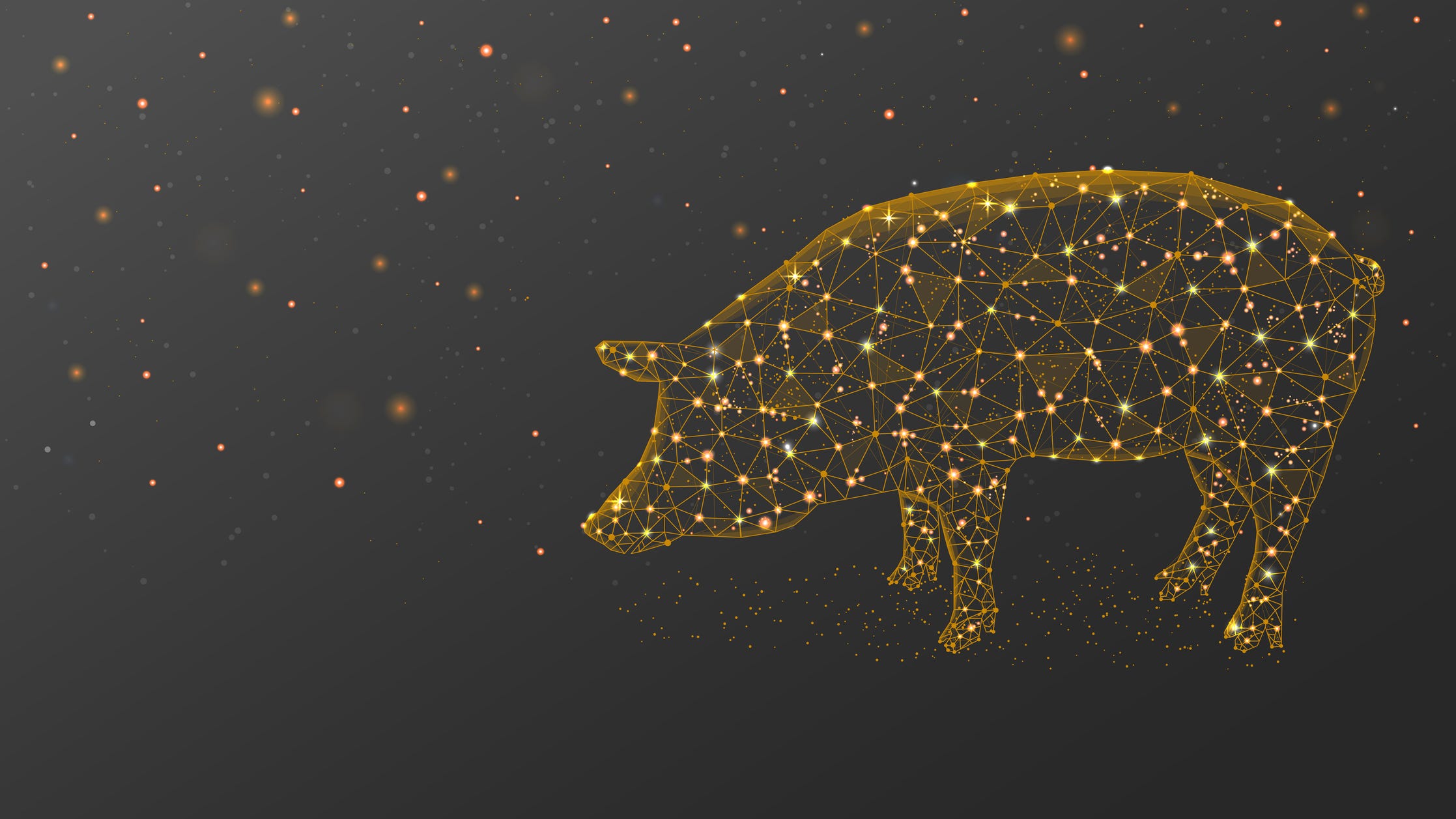 Something Offbeat: Pig collagen helps return sight to the blind