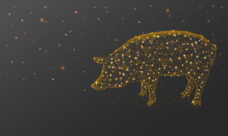 Majestic pig made of stars. 