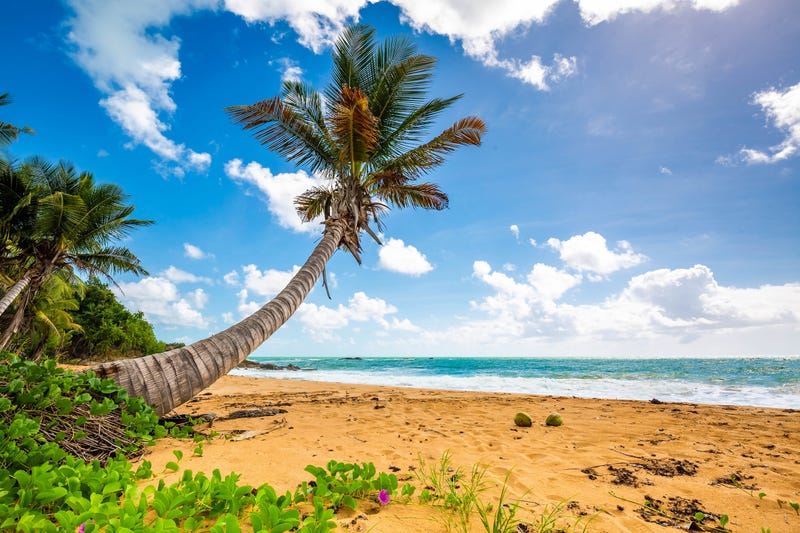Playa Flamenco, Puerto Rico