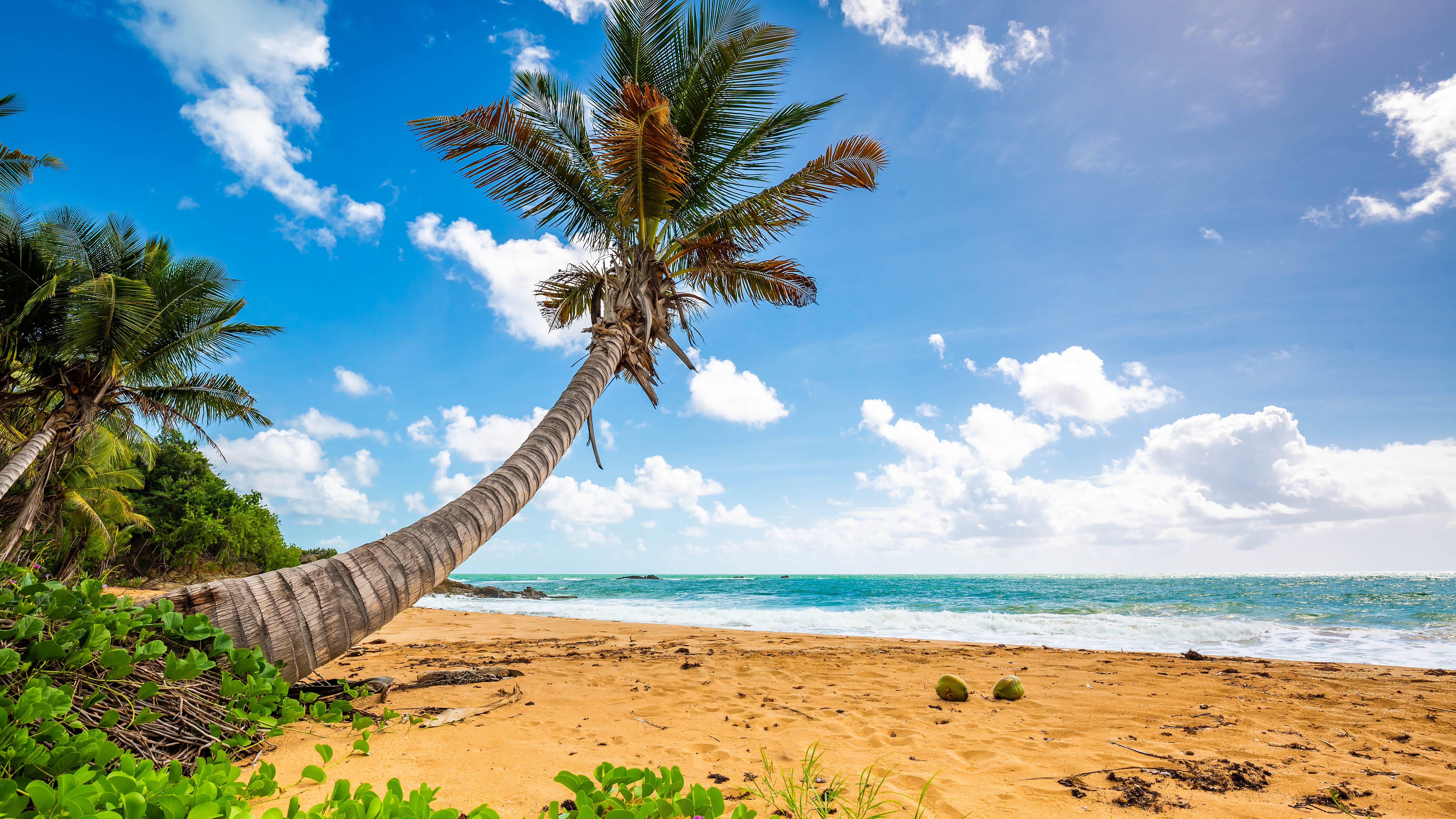 The best beaches to visit in the US in 2021