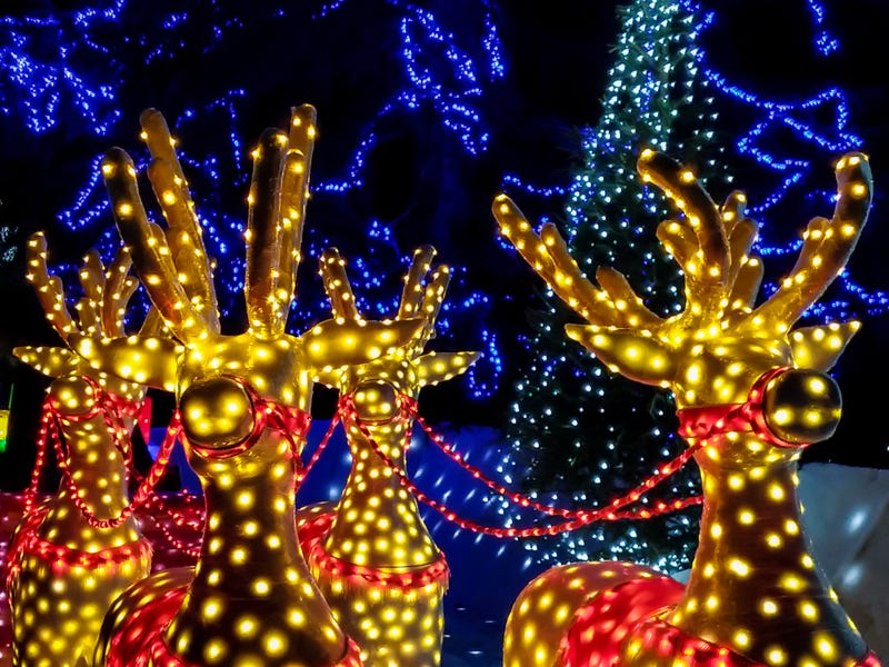 Reindeer holiday lights