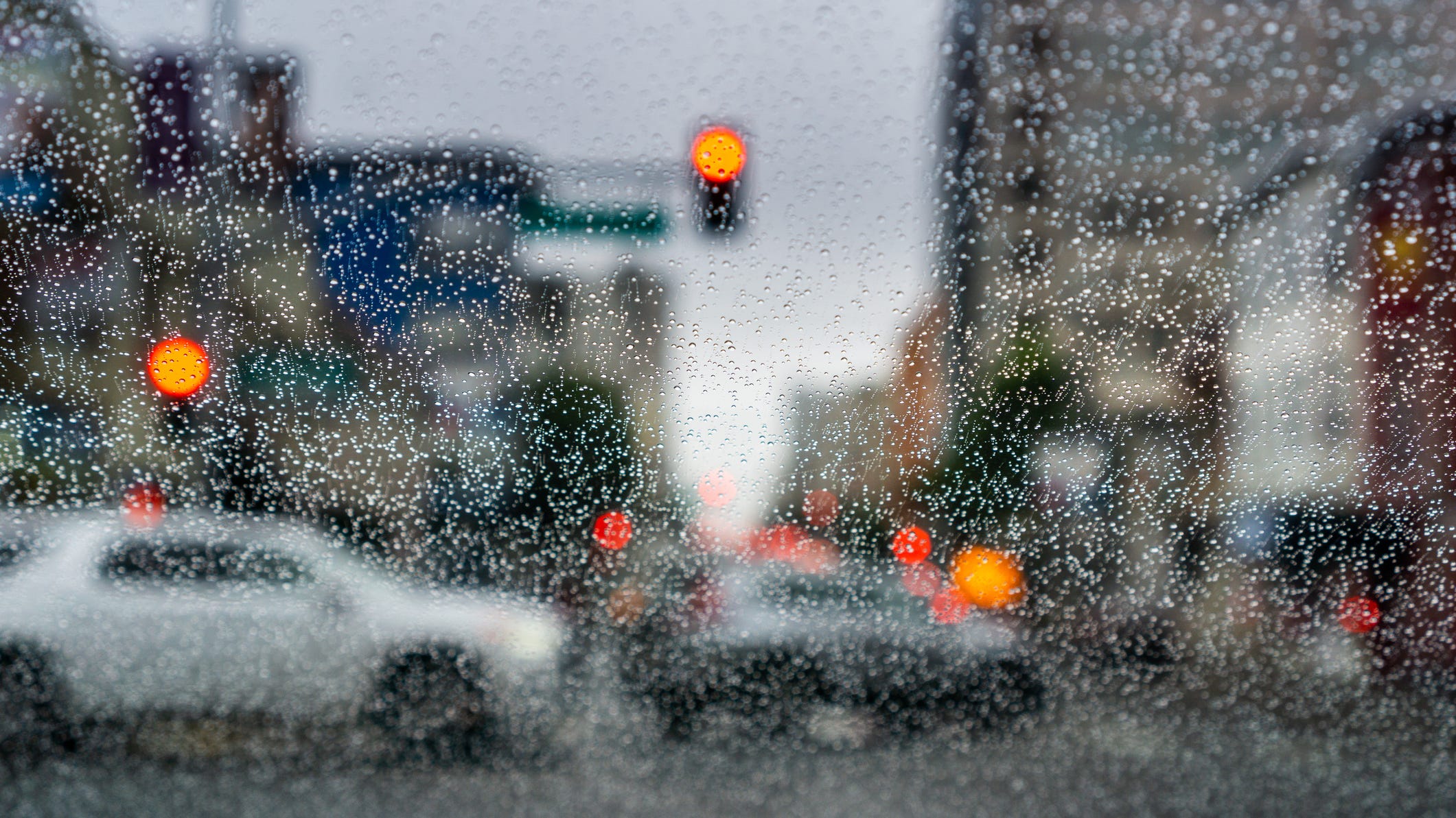Bay Area rainstorms not enough to impact drought, but could mitigate fire season