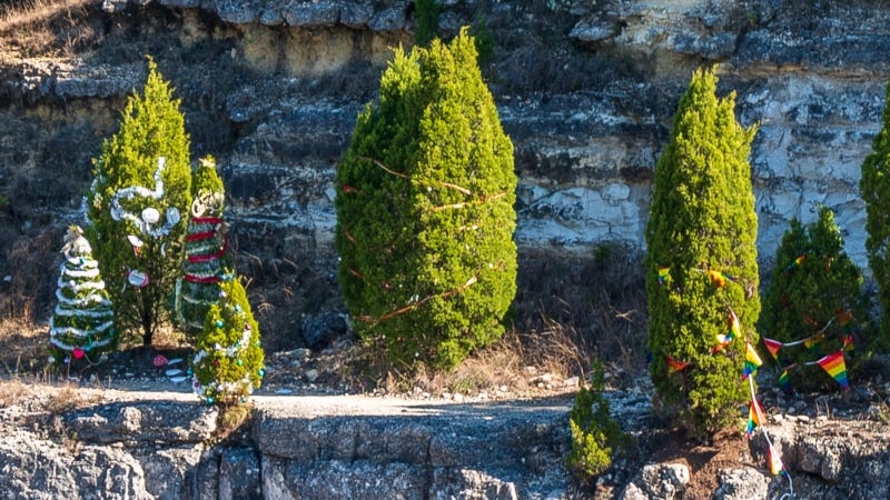 Austin Moms - How to have a more eco-friendly holiday season in ATX!