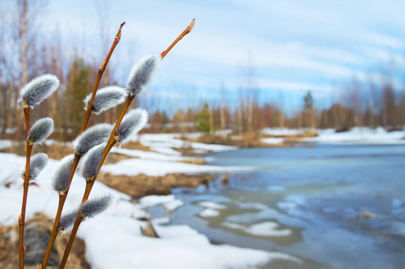 Snow, Spring, Melt, Water, Drought